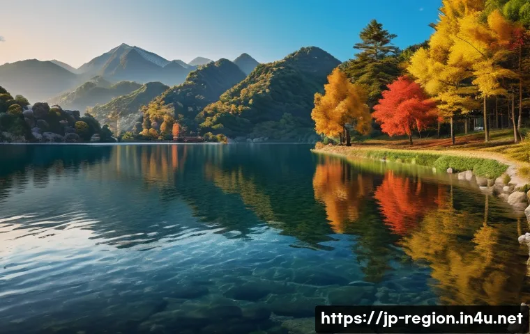지역개발 자격증 갱신 절차 관련 이미지 1